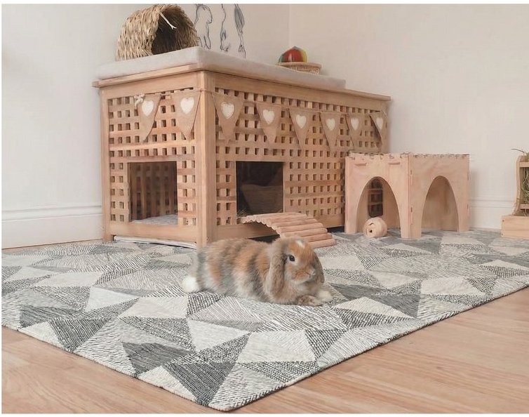 Rabbit resting on a geometric patterned mat in front of a wooden house