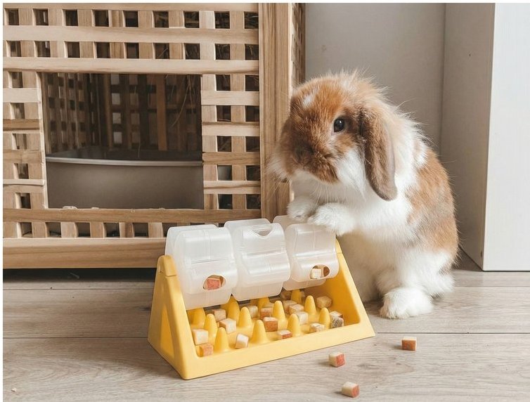 Rabbit interacting with a yellow puzzle toy dispenser