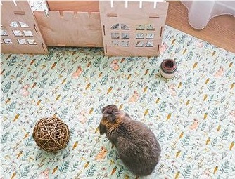 Rabbit sitting on a colorful patterned mat next to wooden houses